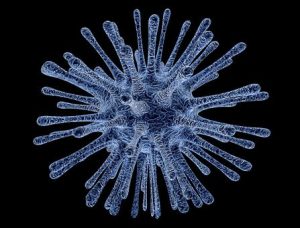 A virus cell -CORONAVIRUS or COVID-19